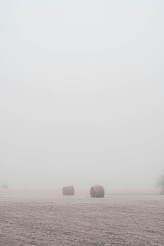 Agriculture Industry Forecasting Agriculture Industry Forecasting