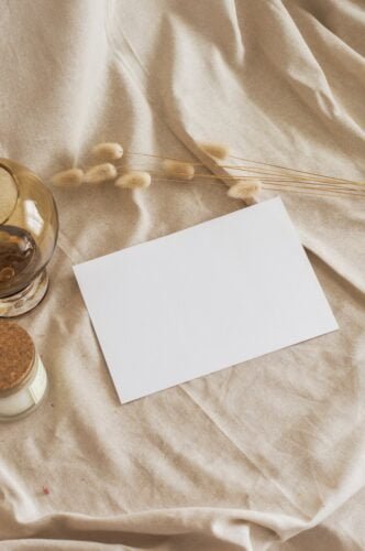 Forecasting Winter With Persimmon Seeds